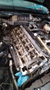 Hexon import image 26