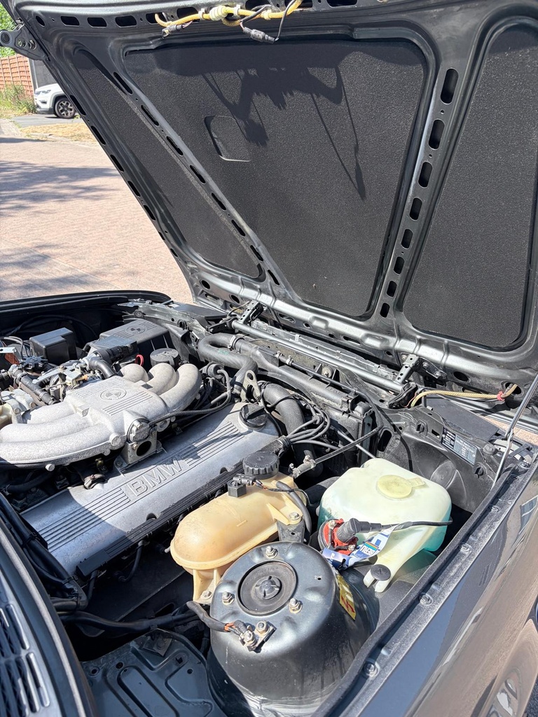 Hexon import image 17